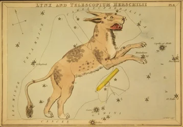 Lynx e Telescopium Herschilii, ilustração de 