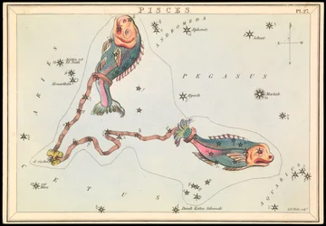 Peixes, c.1825 (cartão, papel, tecido)