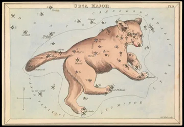 Ursa Maior, c.1825 (cartão, papel, tecido)