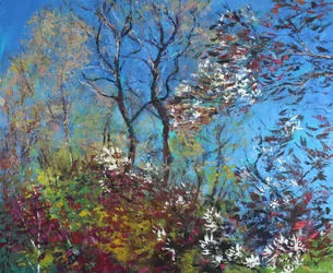 Blossom e Céu Azul