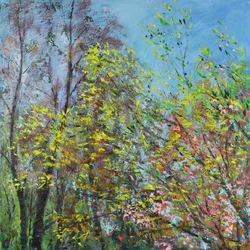 Folhas Delicadas da Primavera
