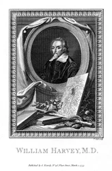William Harvey, médico, 1777.