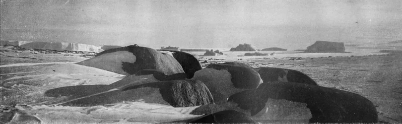 Blocos de granito planejados por geleiras antigas em Cape Roberts, c1911, 1913.