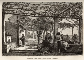 Villa Menton, gravura após o desenho de Taylor, ilustrando a viagem de Menton e Bordhighera, em 1871, de Adolphe Joanne, publicada em "Le tour du monde" 1874, editada por Edouard Charton, edição Hachette, Paris. Coleção Selva.