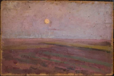 Paisagem de lírios