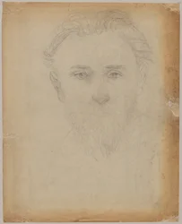 Estudo de retrato de um jovem com barba