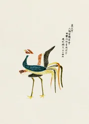 Ferrugem de Yatsuo No Tsubaki