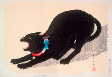 Gato preto a sibilar