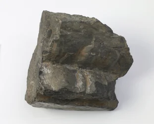 Fragmento de um pedestal de lótus