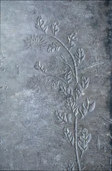 Estela gravada com um crisântemo, flores e folhas, 618-907 (pedra)