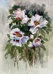 Peónias em aquarela branca