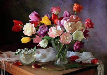 Tulipas primaveris vibrantes