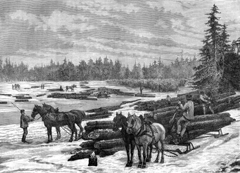 Madeireiros canadenses, século XIX.