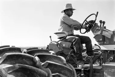 O agricultor familiar Ed Ker, do Rancho A.M. Ker, é um agricultor rural que cultiva alfafa...