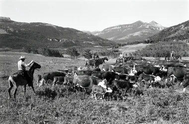Robert Staffanson