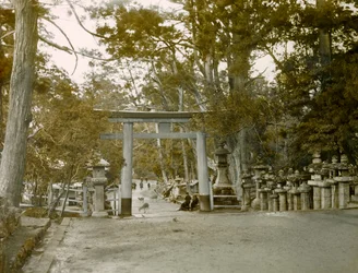 Entrada do Santuário das Lanternas no Parque Kasauga Taisha, Nara, cerca de 1900 - 1915 (fotografia)