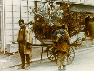 Vendedor ambulante de flores nas ruas de Tóquio, cerca de 1900 - 1915 (fotografia)