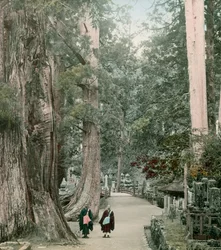 Cemitério de Okuno-In no Monte Koya em Yamamoto, cerca de 1900 - 1915 (fotografia)