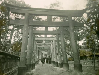 Torii no santuário Inari de Quioto, cerca de 1900 - 1915 (fotografia)