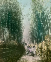 Mulher jovem num ramo de bambu, cerca de 1900 - 1915 (fotografia)