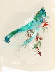 Silhueta das aves, 2017 (Colagem sobre tela)