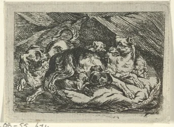 Ninhada de cães jovens