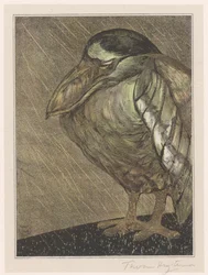 Garça-branca à chuva