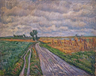Estrada de terra na medula