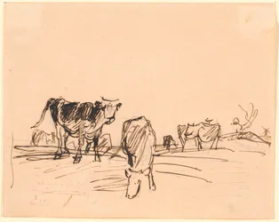 Vacas em um campo