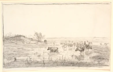 Vacas nos prados em Mejlgaard