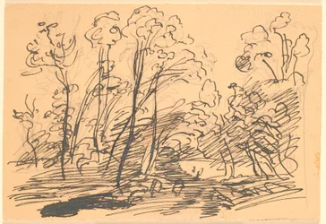 Paisagem da floresta com árvores delgadas