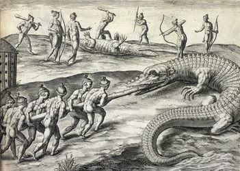 Nativos americanos nus caçando crocodilos na Florida, EUA