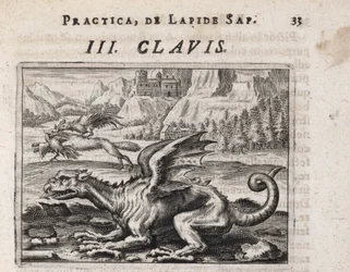 Um dragão, ao fundo, um lobo ladrão de galinhas, atacado por um galo - Gravura de Theodore de Bry (1528-1598), para o tratado de alquimia ""Tripus avreus, hoc est, Tres tractatus chymici selectissimi"" de Michael Maier (1569-1622)