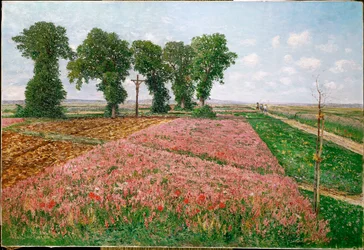 Campos de Esparette (óleo sobre tela)