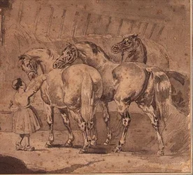 Menina alimentando cavalos num estábulo (lápis e lavagem cinzenta)
