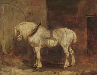 Um carro-cavalo