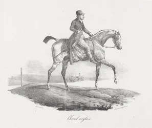 Cavalo inglês (An English Horse)