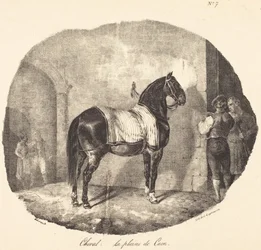 Cavalo simples de Caen