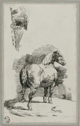Cavalo cinzento salpicado (A Dapple-Gray Horse)