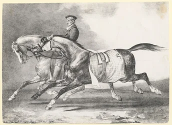 Dois cavalos cinzentos malhados a serem passeados (Two Dapple-Grays Being Exercised)