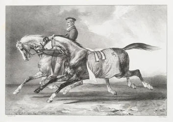 Dois cavalos cinzentos malhados a serem passeados (Two Dapple-Grays Being Exercised)