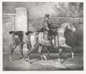 Dois cavalos a serem passeados por um jóquei (Um tratador a exercitar dois cavalos)