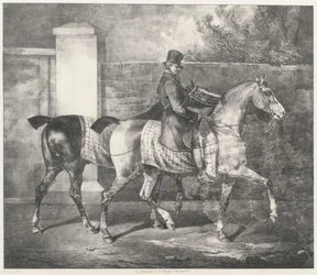Dois cavalos a serem passeados por um jóquei (Um tratador a exercitar dois cavalos)