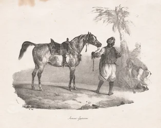 Égua egípcia, 1822.