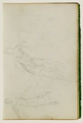 Estudos de figura