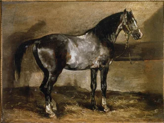 Grey Horse at the Ratelier - óleo sobre tela
