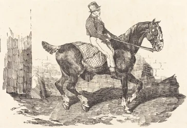 Noivo montado em uma carruagem-cavalo