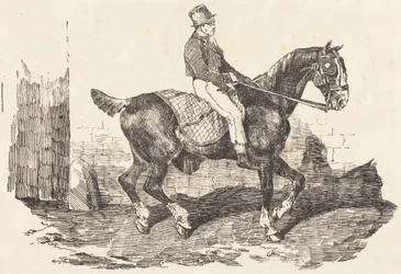 Groom montado num cavalo de carruagem (Cavalo de carruagem montado por um palafrenista)