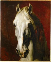 Cabeça de um cavalo branco ...