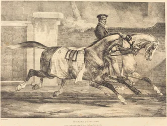 Cavalos se exercitando